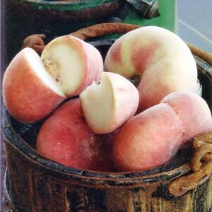 ‘Saturn’ Peaches Image